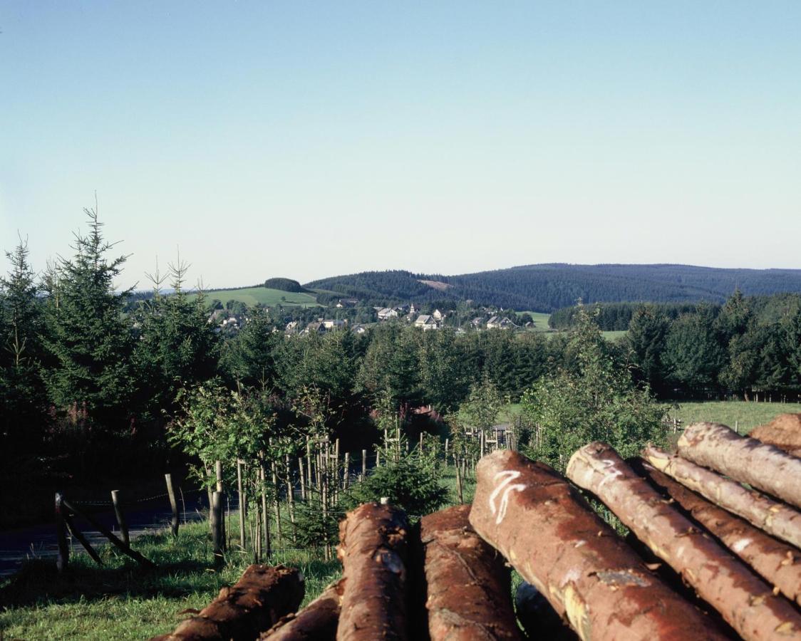 Aussichtsbauernhofpension Hof Gretchens Winterberg Ngoại thất bức ảnh