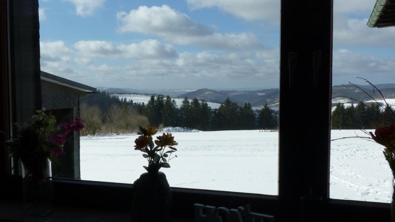 Aussichtsbauernhofpension Hof Gretchens Winterberg Ngoại thất bức ảnh