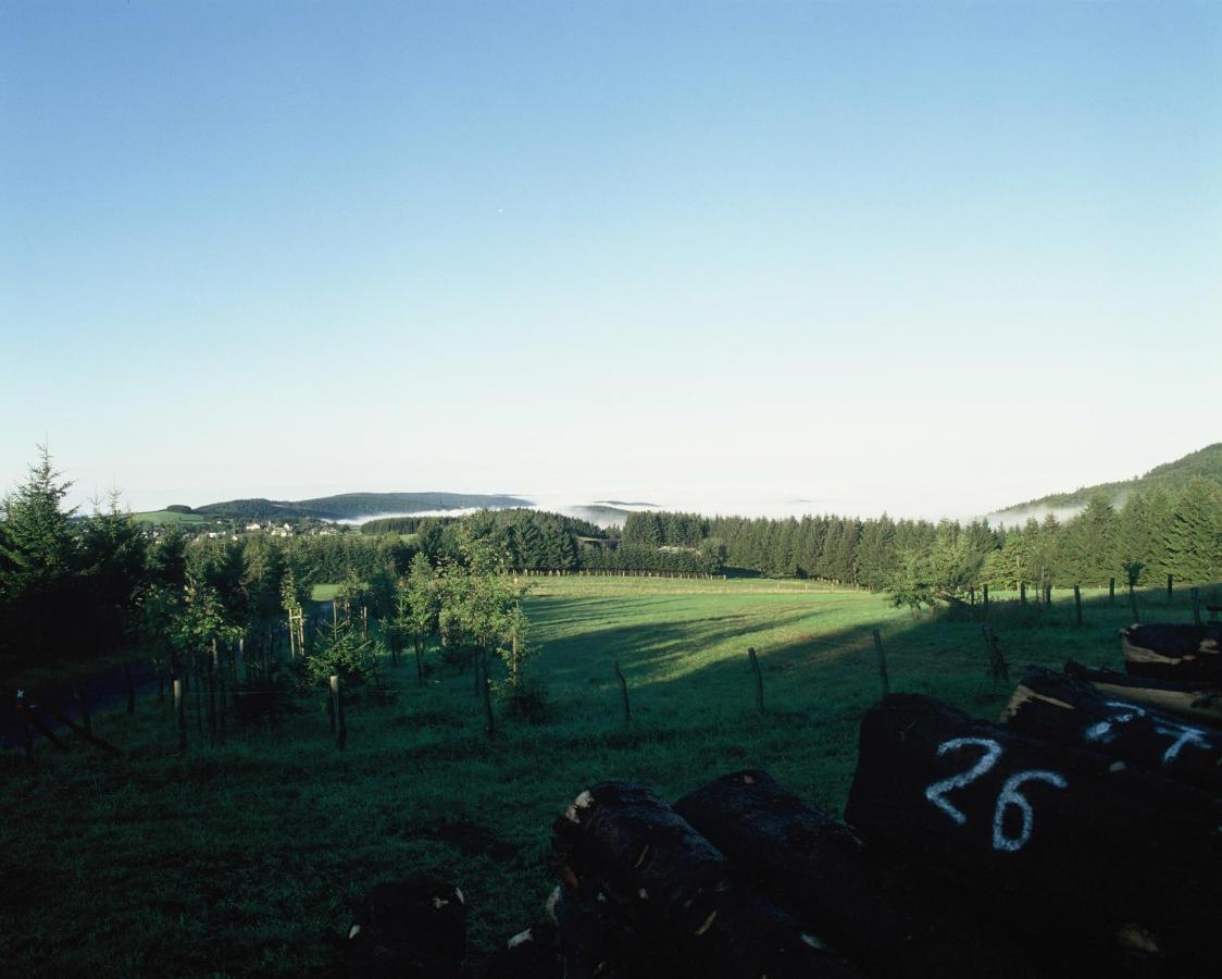 Aussichtsbauernhofpension Hof Gretchens Winterberg Ngoại thất bức ảnh