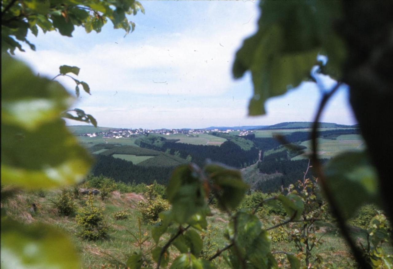 Aussichtsbauernhofpension Hof Gretchens Winterberg Ngoại thất bức ảnh